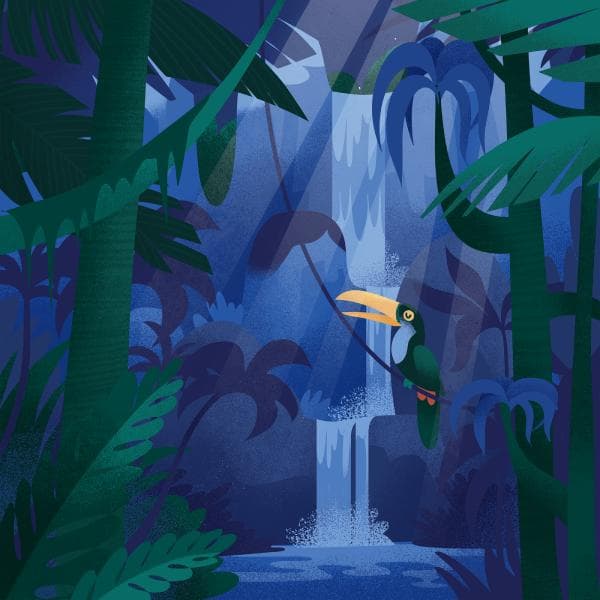 Gratitude for Better Sleep