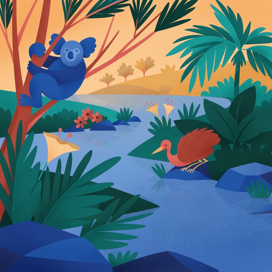 An Australian Bushwalk